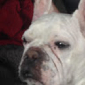 Meet your Posher, Ava